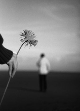 Виктория Осипчук | Киев