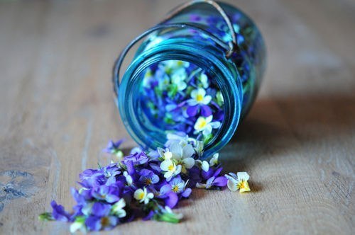 №142, Стефания Клишковская, Городня №142, Стефания Клишковская, Городня