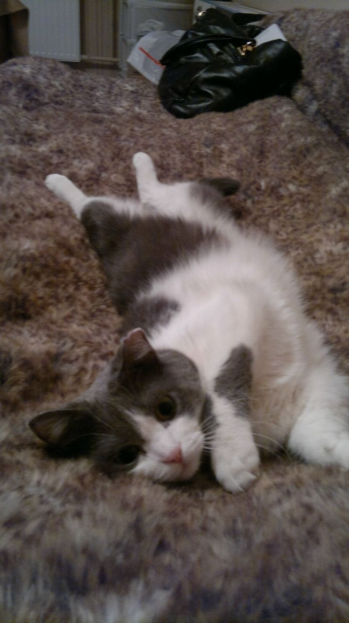 Танюша Филиппова | Санкт-Петербург