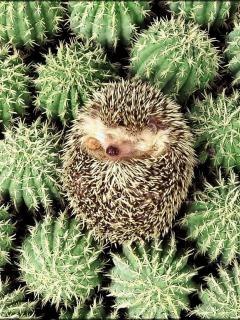 Артем Шурыгин | Казань