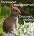 Оля Беляева фотография #44 (источник - https://vk.com/id163824296)