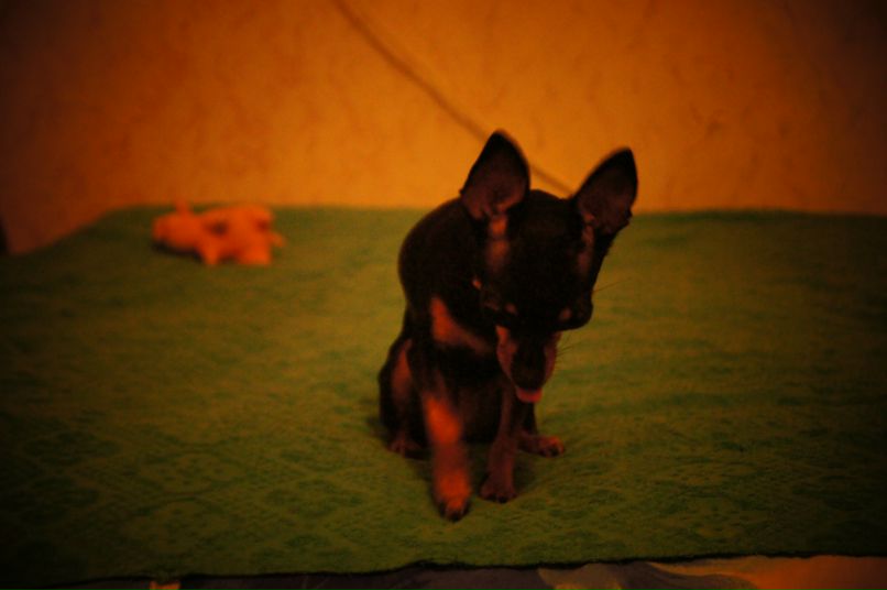 Аня Иванова | Москва