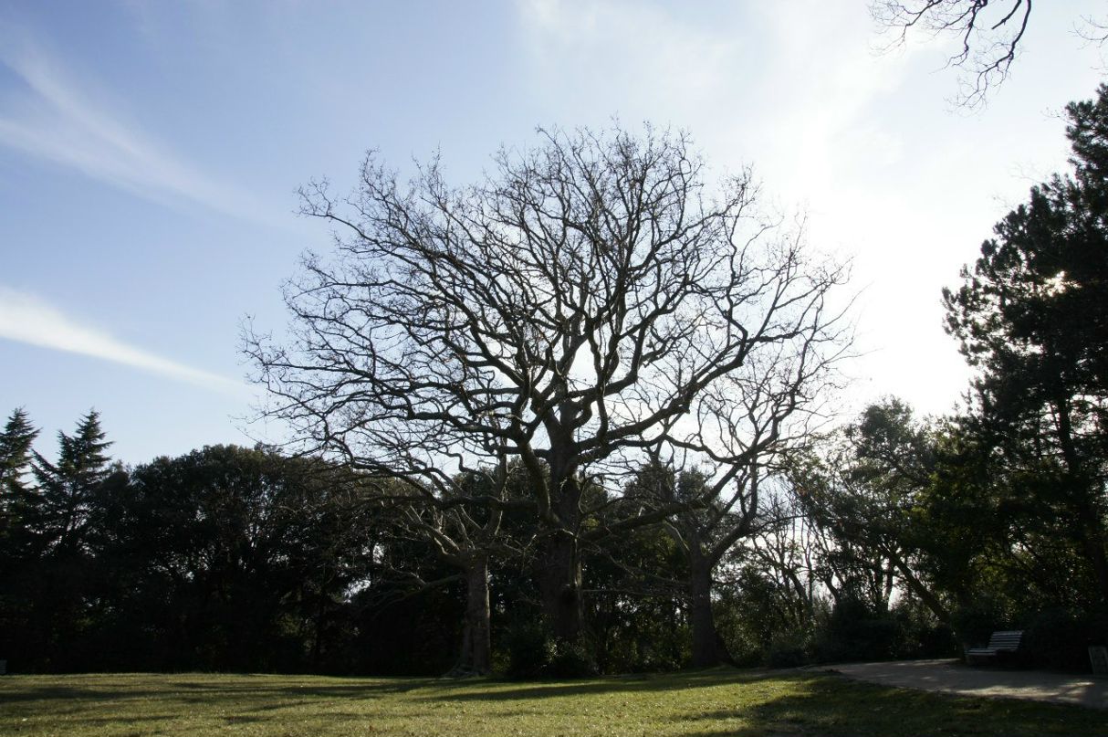 Оксана Виноградова | Днепр (Днепропетровск)