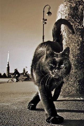 Андрей Бартин ιllιll | Москва