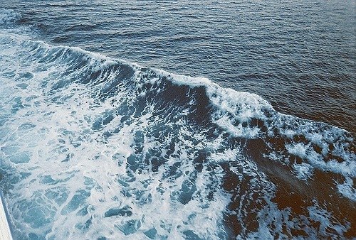 Тина Ворлак | 