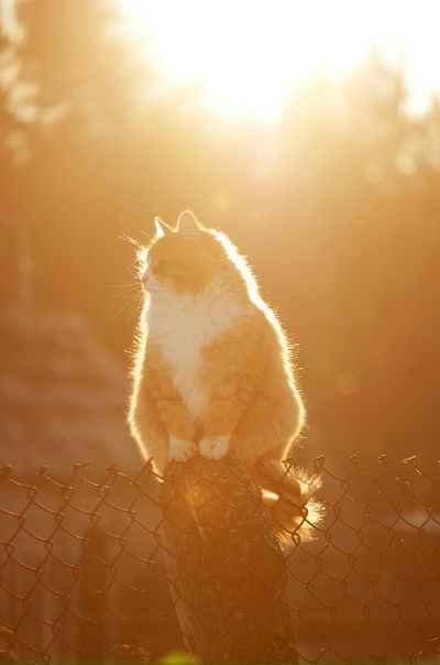 №121, Максим Бронников, Ижевск №121, Максим Бронников, Ижевск