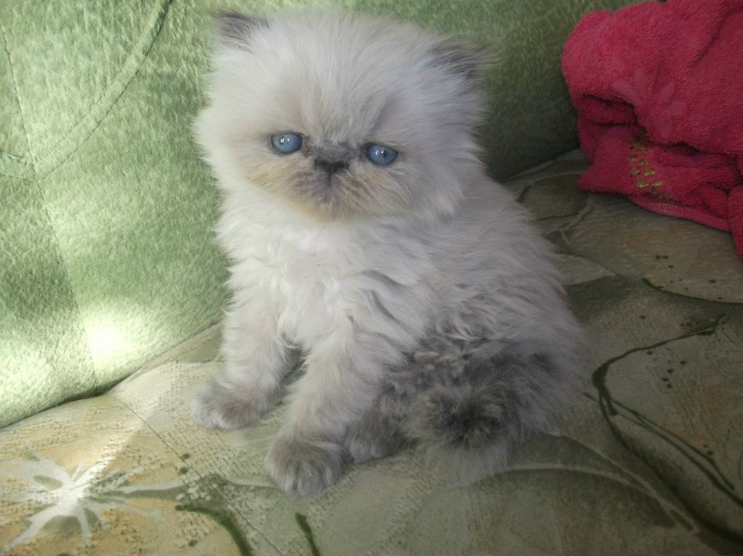 Инна Маркова | Владивосток