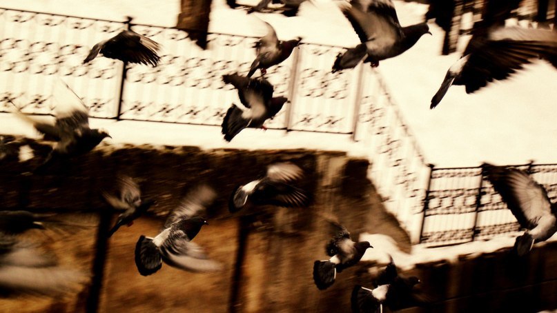 Анастасия Абрамова | Пермь