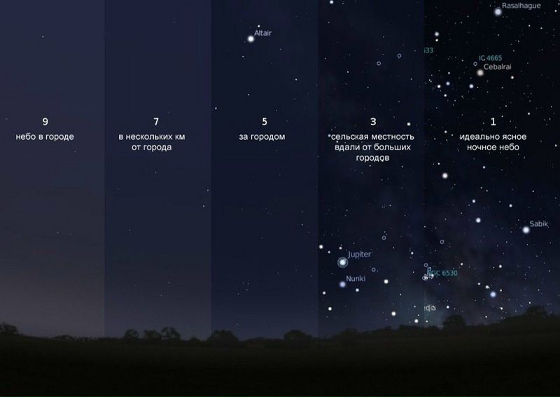 №43, Jay Lay, 35 лет №43, Jay Lay, 35 лет