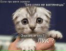 Фотография Алексей Дементьев