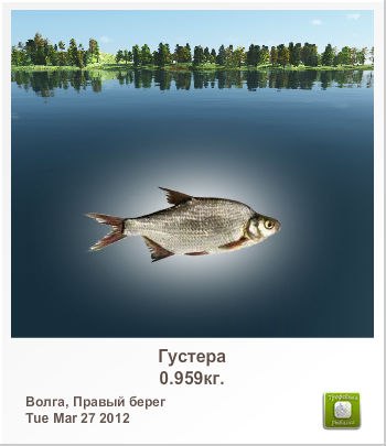 Михаил Колмогоров | Нижний Новгород