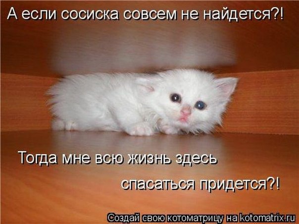 Марина Антюшова | Петрозаводск