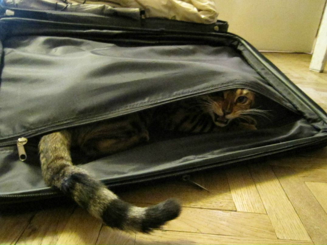 Анка Рыжая | Санкт-Петербург