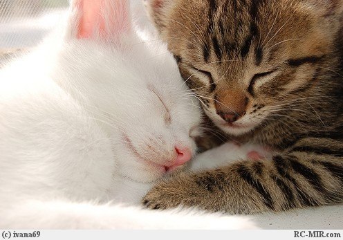 Наталья Самочернова | Екатеринбург