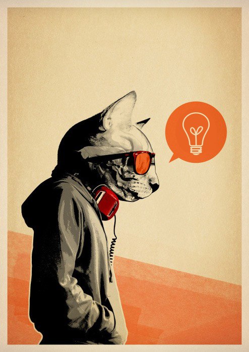 Саша Койн Gansita | Москва