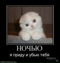Фотография Светлана Березина