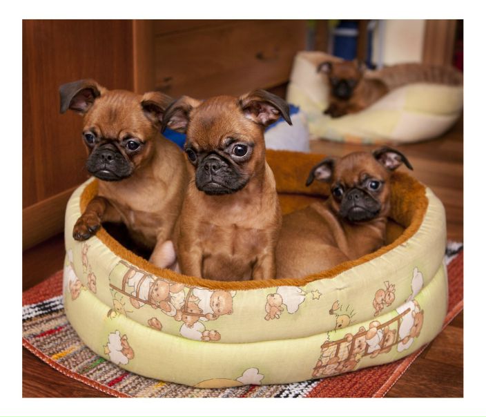 №32, Ира Попова, Санкт-Петербург, Россия №32, Ира Попова, Санкт-Петербург, Россия