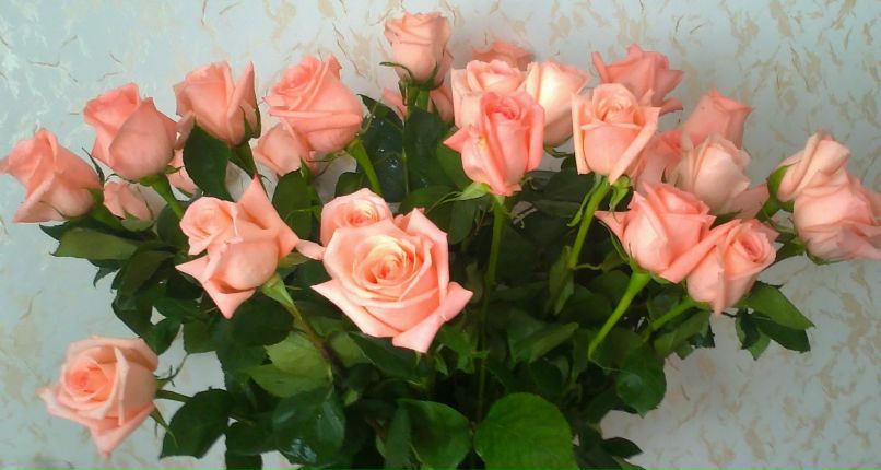 Елизавета Хакимова | Пермь