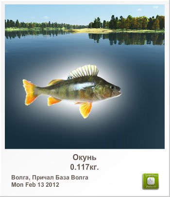 Алексей Ерин | Рязань