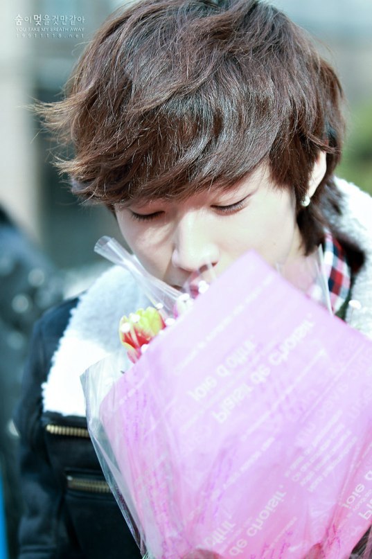 Korean_prince _ | Seoul