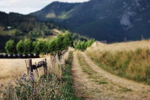 Рафаэль Валиев