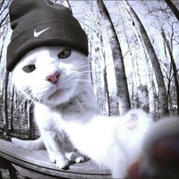 Владимир Королёв