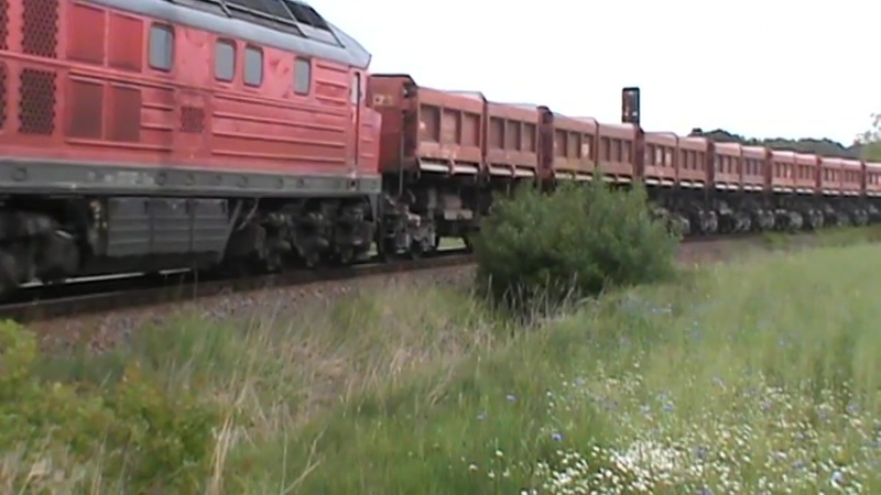 DB Guterzug mit 233 127 0 in