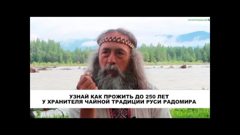 Узнай как прожить до 250 лет у Хранителя чайной традиции Руси Радомира