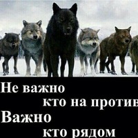 Александр Алексеенко