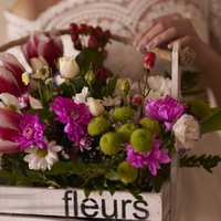 Лида Карабиц