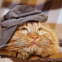 Алексей Журавлёв