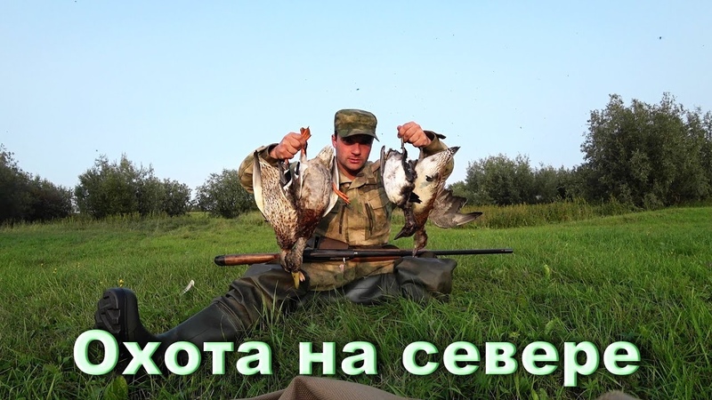 Лучшая охота на утку с подхода. Чуть не утопил ружьё и