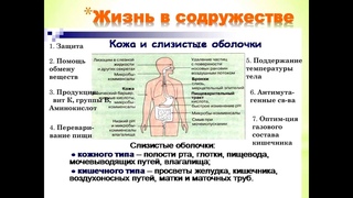 24 antiparazit modul 2