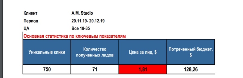 Данные отчета таргетолога