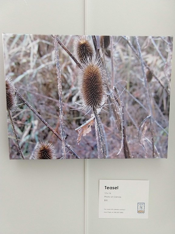 Малкольм Ванг: подросток-фотограф с аутизмом, изображение №6