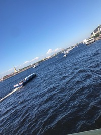 Светлана Панова