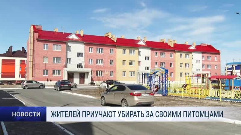 Жителей приучают убирать за своими