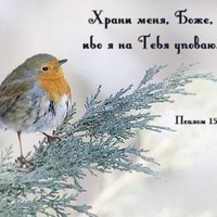 Людмила Соловьёва