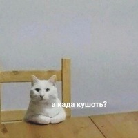 Артём Артёмов