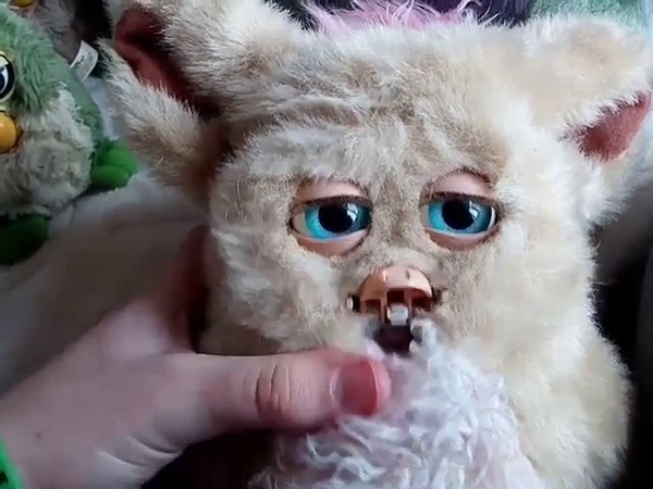 My many old furbys 14 and furby fakes 5(1998 original furbys, furby baby 1999, 2005 furbys and