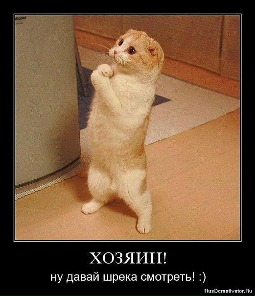 №3, Анатолий Федин, Луганск №3, Анатолий Федин, Луганск