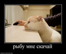 №2 Лёкочка ______ : профиль, фото, статус - ВКонтакте