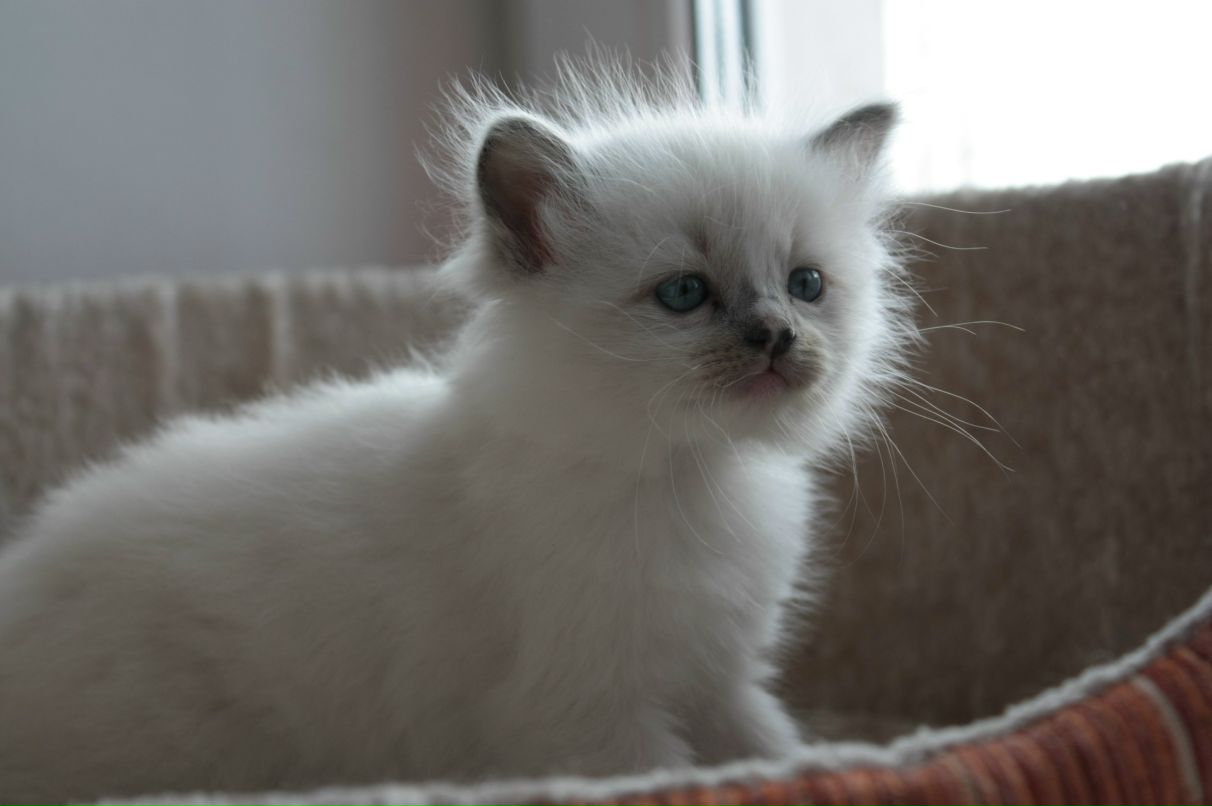 Екатерина Маслова | Дубна