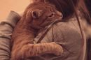 Фотография Кот Котевич