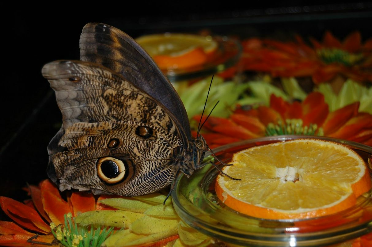 Татьяна Богданова | Екатеринбург