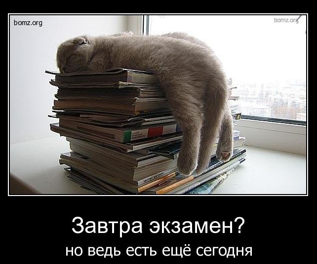 Татьяна Соколова *САМАя* | Berlin