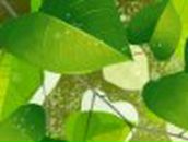 Степан Антонов •°*”˜♥˜”*°• | Москва