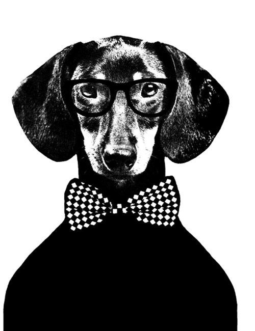 Alexander Babakov | Москва