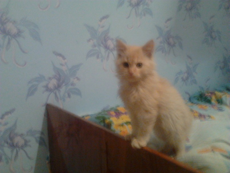 Екатерина Трубина | Самара