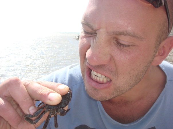 №4, Григорий Цыганок №4, Григорий Цыганок